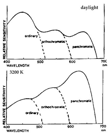 B&W sensitizations